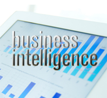 Image for Business Intelligence Services