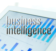 Image for Business Intelligence Services